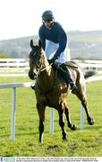 29 December 2003; Rhinestone Cowboy, with John Magnier up, canters to the start of the December Festival Hurdle, Leopardstown Racecourse, Dublin. Horse Racing. Picture Credit; David Maher / SPORTSFILE *EDI*