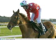 29 December 2003; Celtic Showdown, with Mark Grant up, canters to the start of the Coyle Hamilton Beginners Steeplechase, Leopardstown Racecourse, Dublin. Horse Racing. Picture Credit; David Maher / SPORTSFILE *EDI*