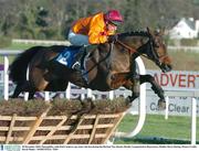 28 December 2003; Demophilos, with Paul Carberry up, clears the last during the Durkan New Homes Hurdle, Leopardstown Racecourse, Dublin. Horse Racing. Picture Credit; David Maher / SPORTSFILE *EDI*