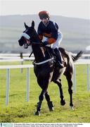 29 December 2003; Flame Creek, with Seamus Durack up, canters to the start of the December Festival Hurdle, Leopardstown Racecourse, Dublin. Horse Racing. Picture Credit; David Maher / SPORTSFILE *EDI*