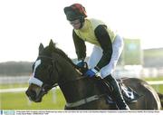 29 December 2003; Grandad, with Sean McDermott up, canters to the start before the start of the Coyle Hamilton Beginners Steeplechase, Leopardstown Racecourse, Dublin. Horse Racing. Picture Credit; David Maher / SPORTSFILE *EDI*