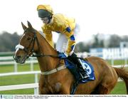 29 December 2003; Pattella, with  Sean McDermott up, canters to the start of the Mongey Communications Maiden Hurdle, Leopardstown Racecourse, Dublin. Horse Racing. Picture Credit; David Maher / SPORTSFILE *EDI*