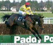 29 December 2003; Tep Kapi, with Shane McCann up, jumps the last during the Coyle Hamilton Beginners Steeplechase, Leopardstown Racecourse, Dublin. Horse Racing. Picture Credit; David Maher / SPORTSFILE *EDI*