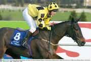 29 December 2003; Portmor Bridge, with Shane McCann up, during the Mongey Communications Maiden Hurdle, Leopardstown Racecourse, Dublin. Horse Racing. Picture Credit; David Maher / SPORTSFILE *EDI*