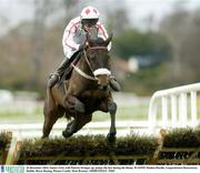 26 December 2003; Santa's Girl, with Patrick Stringer up, jumps the last during the Denny WAIFOS Maiden Hurdle, Leopardstown Racecourse, Dublin. Horse Racing. Picture Credit; Matt Browne / SPORTSFILE *EDI*