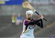 29 June 2013; Mark Fanning, Wexford. GAA Hurling All-Ireland Senior Championship, Phase I, Wexford v Carlow, Wexford Park, Wexford. Picture credit: Matt Browne / SPORTSFILE