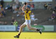 29 June 2013; Jack Guiney, Wexford. GAA Hurling All-Ireland Senior Championship, Phase I, Wexford v Carlow, Wexford Park, Wexford. Picture credit: Matt Browne / SPORTSFILE
