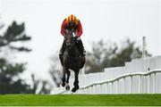 29 July 2020; Bon Retour, with Paul Townend up, on their way to winning the Play The Tote Trifecta Handicap Hurdle on day three of the Galway Summer Racing Festival at Ballybrit Racecourse in Galway. Horse racing remains behind closed doors to the public under guidelines of the Irish Government in an effort to contain the spread of the Coronavirus (COVID-19) pandemic. Photo by Harry Murphy/Sportsfile