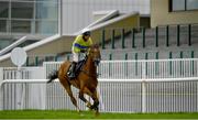 30 July 2020; Polished Steel, with Robbie Power up, on their way to winning the Rockshore Novice Steeplechase on day four of the Galway Summer Racing Festival at Ballybrit Racecourse in Galway. Horse racing remains behind closed doors to the public under guidelines of the Irish Government in an effort to contain the spread of the Coronavirus (COVID-19) pandemic. Photo by Harry Murphy/Sportsfile