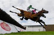 30 July 2020; Russian Diamond, with David Mullins up, front, falls at the fourth fence, alongside Scheu Time, with Gearoid Brouder up, who finished fifth, during the Rockshore Novice Steeplechase on day four of the Galway Summer Racing Festival at Ballybrit Racecourse in Galway. Horse racing remains behind closed doors to the public under guidelines of the Irish Government in an effort to contain the spread of the Coronavirus (COVID-19) pandemic. Photo by Harry Murphy/Sportsfile