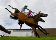 30 July 2020; Russian Diamond, with David Mullins up, front, falls at the fourth fence, alongside Scheu Time, with Gearoid Brouder up, who finished fifth, during the Rockshore Novice Steeplechase on day four of the Galway Summer Racing Festival at Ballybrit Racecourse in Galway. Horse racing remains behind closed doors to the public under guidelines of the Irish Government in an effort to contain the spread of the Coronavirus (COVID-19) pandemic. Photo by Harry Murphy/Sportsfile