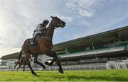 30 July 2020; Aramon, with Patrick Mullins up, on their way to winning Guinness Galway Hurdle Handicap on day four of the Galway Summer Racing Festival at Ballybrit Racecourse in Galway. Horse racing remains behind closed doors to the public under guidelines of the Irish Government in an effort to contain the spread of the Coronavirus (COVID-19) pandemic. Photo by Harry Murphy/Sportsfile