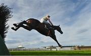 30 July 2020; Jon Snow, with Paul Townend up, jumps the first fence on their way to winning the Guinness Novice Hurdle on day four of the Galway Summer Racing Festival at Ballybrit Racecourse in Galway. Horse racing remains behind closed doors to the public under guidelines of the Irish Government in an effort to contain the spread of the Coronavirus (COVID-19) pandemic. Photo by Harry Murphy/Sportsfile