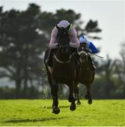 30 July 2020; Jon Snow, with Paul Townend up, on their way to winning the Guinness Novice Hurdle on day four of the Galway Summer Racing Festival at Ballybrit Racecourse in Galway. Horse racing remains behind closed doors to the public under guidelines of the Irish Government in an effort to contain the spread of the Coronavirus (COVID-19) pandemic. Photo by Harry Murphy/Sportsfile