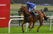 30 July 2020; The Trigger, with Mark Walsh up, on their way to winning the Open Gate Pure Brew Handicap Hurdle on day four of the Galway Summer Racing Festival at Ballybrit Racecourse in Galway. Horse racing remains behind closed doors to the public under guidelines of the Irish Government in an effort to contain the spread of the Coronavirus (COVID-19) pandemic. Photo by Harry Murphy/Sportsfile