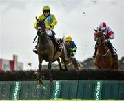 31 July 2020; Saucy Yeats, with Danniel Holden up, jump the fourth during the James's Gate Maiden Hurdle on day five of the Galway Summer Racing Festival at Ballybrit Racecourse in Galway. Horse racing remains behind closed doors to the public under guidelines of the Irish Government in an effort to contain the spread of the Coronavirus (COVID-19) pandemic. Photo by Harry Murphy/Sportsfile