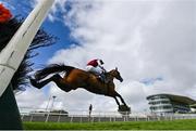 31 July 2020; Nibblers Charm, with Simon Torrens up, jumps the last, on their way to winning the Guinness Galway Tribes Handicap Hurdle on day five of the Galway Summer Racing Festival at Ballybrit Racecourse in Galway. Horse racing remains behind closed doors to the public under guidelines of the Irish Government in an effort to contain the spread of the Coronavirus (COVID-19) pandemic. Photo by Harry Murphy/Sportsfile