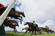 31 July 2020; Runners and riders, jump the last, first time round, during the Guinness Galway Tribes Handicap Hurdle on day five of the Galway Summer Racing Festival at Ballybrit Racecourse in Galway. Horse racing remains behind closed doors to the public under guidelines of the Irish Government in an effort to contain the spread of the Coronavirus (COVID-19) pandemic. Photo by Harry Murphy/Sportsfile