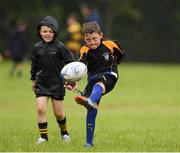 5 August 2020; Jack Hargaden, age 7, during the Bank of Ireland Leinster Rugby Summer Camp at Newbridge in Kildare. Photo by Matt Browne/Sportsfile