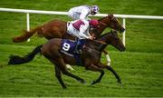 13 August 2020; He Knows No Fear, with Chris Hayes up, a record setting 300/1 winner, after crossing the line to beat the field and Agitare, who finished second, with Kevin Manning up, and win the Irish Stallion Farms EBF maiden 3 year old plus race at Leopardstown in Dublin. Photo by David Fitzgerald/Sportsfile