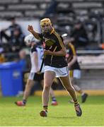 29 August 2020; Jack Bruton of Danesfort celebrates a point scored by team-mate Richie Hogan during the Kilkenny County Senior Hurling Championship Round 1 match between Danesfort and Mullinavat at UPMC Nowlan Park in Kilkenny. Photo by Seb Daly/Sportsfile