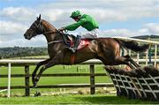9 September 2020; Getaway Gorgeous, with David Mullins up, jumps the last on their way to winning the Irish Daily Mirror Mares Novice Hurdle at Punchestown Racecourse in Kildare. Photo by Seb Daly/Sportsfile