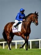 12 September 2020; Ghaiyyath, with William Buick up, goes to post ahead of the Irish Champion Stakes during day one of The Longines Irish Champions Weekend at Leopardstown Racecourse in Dublin. Photo by Seb Daly/Sportsfile