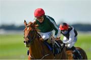 13 September 2020; Cayenne Pepper, with Shane Foley up, on their way to winning the Moyglare 'Jewels' Blandford Stakes during day two of The Longines Irish Champions Weekend at The Curragh Racecourse in Kildare. Photo by Seb Daly/Sportsfile