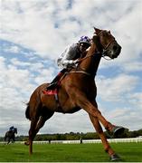 16 September 2020; McCabe, with Kevin Manning up, on their way to winning the Mitchelstown Handicap at Cork Racecourse in Mallow. Photo by Seb Daly/Sportsfile