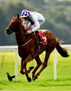 16 September 2020; McCabe, with Kevin Manning up, on their way to winning the Mitchelstown Handicap at Cork Racecourse in Mallow. Photo by Seb Daly/Sportsfile