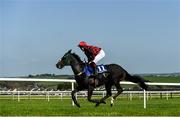 17 September 2020; Dani's Boy, with Richard Condon up, during the Dunmore East Handicap Hurdle at Tramore Racecourse in Waterford. Photo by Harry Murphy/Sportsfile