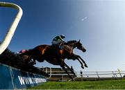 17 September 2020; Hello Pilgrim, with Ricky Doyle up, jump the fourth during the Brownstown Head Handicap Hurdle at Tramore Racecourse in Waterford. Photo by Harry Murphy/Sportsfile