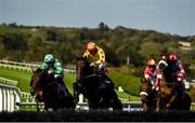 17 September 2020; Trans Wood, with Tiernan Roche up, centre, jump the eighth during the Brownstown Head Handicap Hurdle at Tramore Racecourse in Waterford. Photo by Harry Murphy/Sportsfile