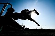 17 September 2020; Bellgrove, with Rachael Blackmore up, jumps the third during the Kilmeaden Handicap Steeplechase at Tramore Racecourse in Waterford. Photo by Harry Murphy/Sportsfile