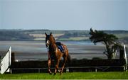 17 September 2020; Billy's Angel after parting company with Conor McNamara in the Kilmeaden Handicap Steeplechase at Tramore Racecourse in Waterford. Photo by Harry Murphy/Sportsfile