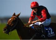 17 September 2020; Sense of Rock, with Ryan Treacy up, during the Waterford Greenway Beginners Steeplechase at Tramore Racecourse in Waterford. Photo by Harry Murphy/Sportsfile