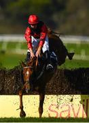 17 September 2020; Sense of Rock, with Ryan Treacy up, is nearly unmounted at the last during the Waterford Greenway Beginners Steeplechase at Tramore Racecourse in Waterford. Photo by Harry Murphy/Sportsfile