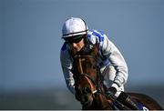 17 September 2020; She's A Cracker, with John Berry up, during the Irish Stallion Farms EBF Mares Flat Race at Tramore Racecourse in Waterford. Photo by Harry Murphy/Sportsfile