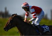 17 September 2020; Oscar Madness, with Ian Power up, during the Waterford Greenway Beginners Steeplechase at Tramore Racecourse in Waterford. Photo by Harry Murphy/Sportsfile