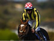 17 September 2020; You Can't Catch Me, with Donagh Meyler up, during the Brownstown Head Handicap Hurdle at Tramore Racecourse in Waterford. Photo by Harry Murphy/Sportsfile