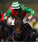 17 September 2020; Sweet Sting, with Brian Hayes up, during the Brownstown Head Handicap Hurdle at Tramore Racecourse in Waterford. Photo by Harry Murphy/Sportsfile