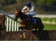 17 September 2020; The Echo Boy, with Danny Hand up, jump the sixth during the Waterford Greenway Beginners Steeplechase at Tramore Racecourse in Waterford. Photo by Harry Murphy/Sportsfile