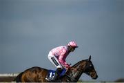 17 September 2020; Moghram, with Keith Donoghue up, go to post prior to the Dunmore East Handicap Hurdle at Tramore Racecourse in Waterford. Photo by Harry Murphy/Sportsfile