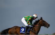 17 September 2020; Arch Melody, with Mike O'Connor up, go to post prior to the Dunmore East Handicap Hurdle at Tramore Racecourse in Waterford. Photo by Harry Murphy/Sportsfile