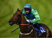 17 September 2020; Leading Line, with James O'Sullivan up, during the Doneraile Walk Maiden Hurdle Division Two at Tramore Racecourse in Waterford. Photo by Harry Murphy/Sportsfile