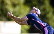 19 September 2020; Curtis Campher of YMCA catches Levi Dougherty of Donemana during the All-Ireland T20 Cup Final match between YMCA and Donemana at CIYMS Cricket Club in Belfast. Photo by Sam Barnes/Sportsfile