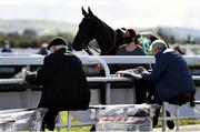 23 September 2020; Racegoers study the form ahead of the Devon Inn Hotel Handicap Hurdle at Listowel in Kerry. Photo by Harry Murphy/Sportsfile