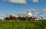 23 September 2020; Runners and riders during the Listowel Vintners Association Flat Race at Listowel in Kerry. Photo by Harry Murphy/Sportsfile