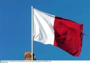21 November 2003; An Arles-Kilcruise flag. Arles, Co. Laois. Picture credit; Matt Browne / SPORTSFILE *EDI*