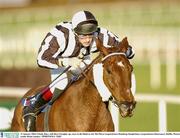 11 January 2004; Cloudy Bays, with Ross Geraghty up, races to the finish to win The Pierse Leopardstown Handicap Steeplechase, Leopardstown Racecourse, Dublin. Picture credit; Brian Lawless / SPORTSFILE *EDI*